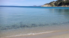 La vela del veliero